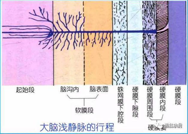 影像PPT - 脑膜解剖及其血供、硬脑膜静脉窦、MRV-4 影像PPT - 脑膜解剖及其血供、硬脑膜静脉窦、MRV-4