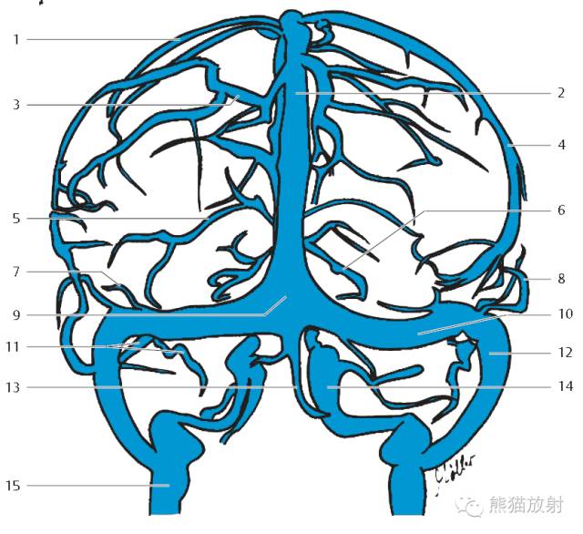 影像PPT - 脑膜解剖及其血供、硬脑膜静脉窦、MRV-8 影像PPT - 脑膜解剖及其血供、硬脑膜静脉窦、MRV-8