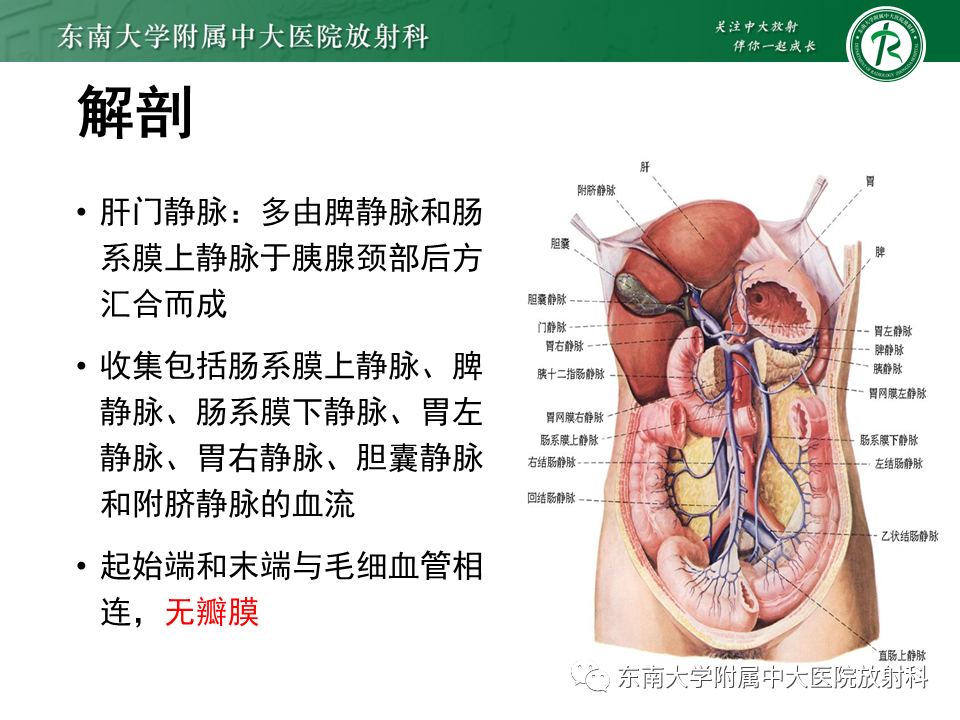影像PPT - 【PPT】门静脉积气-5 影像PPT - 【PPT】门静脉积气-5