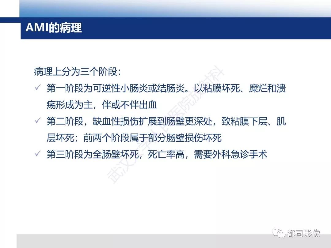 影像PPT - 【PPT】急性肠系膜血管缺血的CT诊断及介入治疗-4