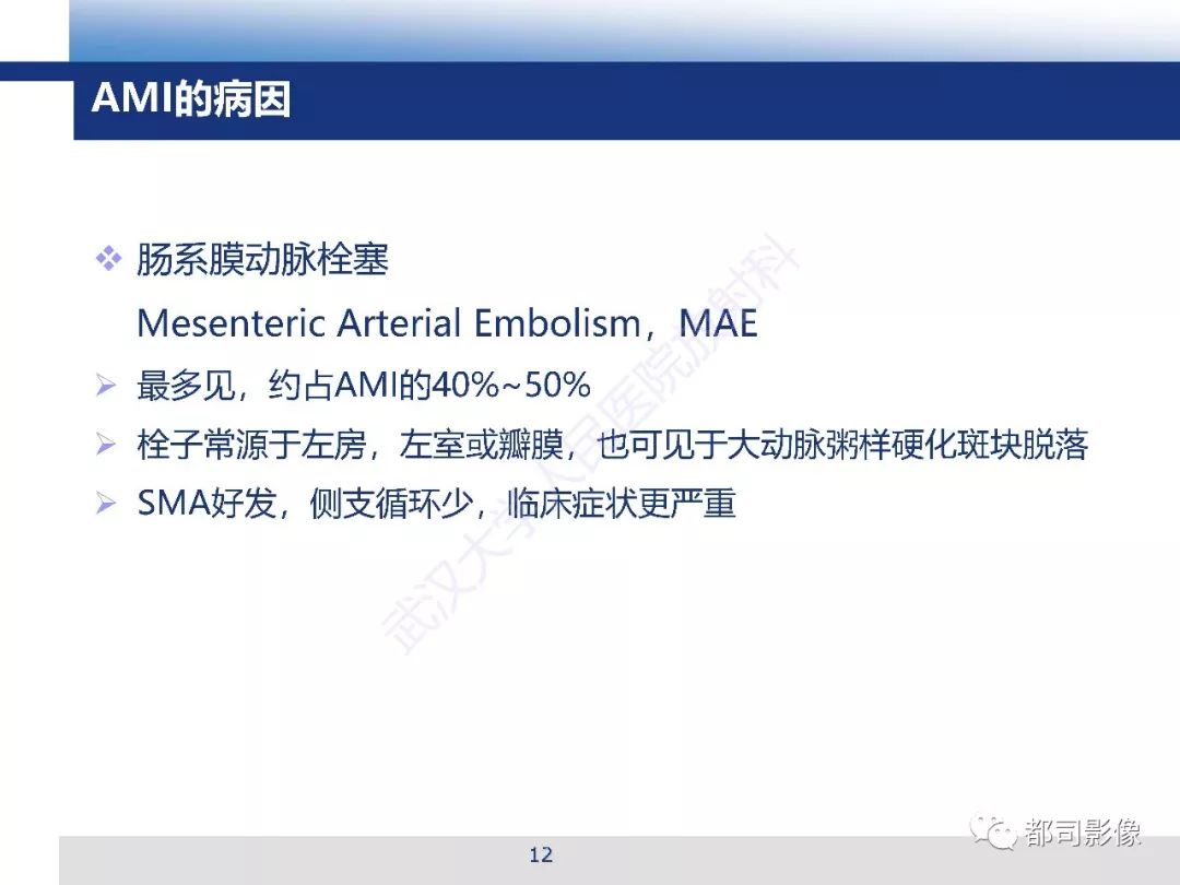 影像PPT - 【PPT】急性肠系膜血管缺血的CT诊断及介入治疗-12