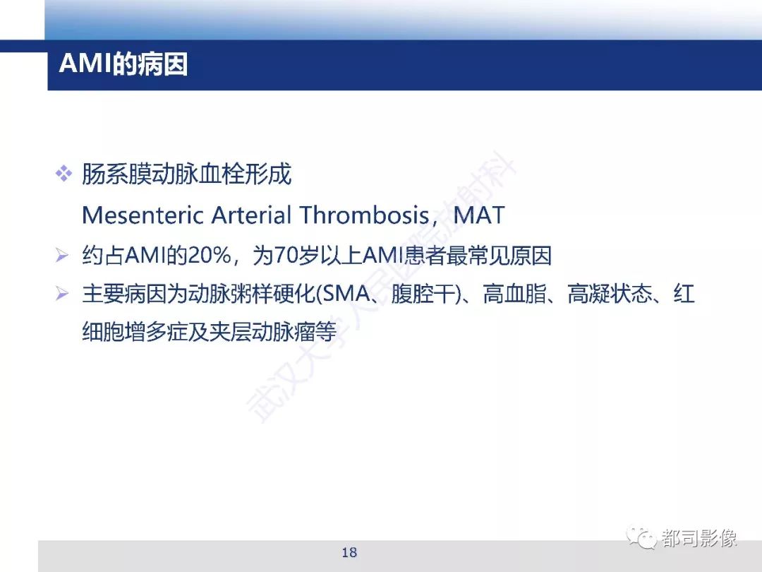 影像PPT - 【PPT】急性肠系膜血管缺血的CT诊断及介入治疗-18
