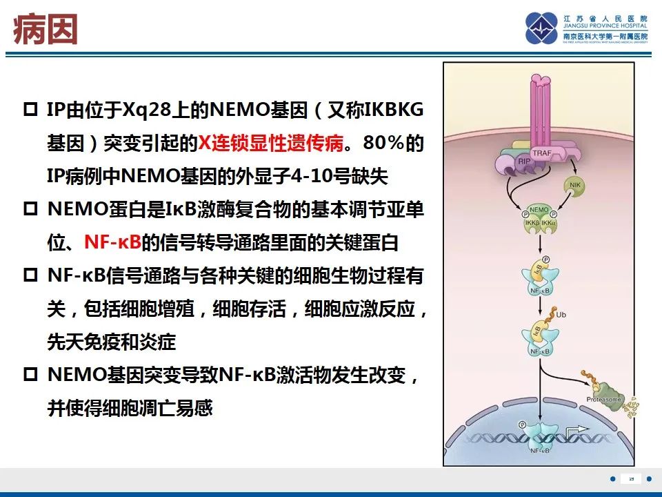 影像PPT - 【PPT】色素失禁症的影像表现-27