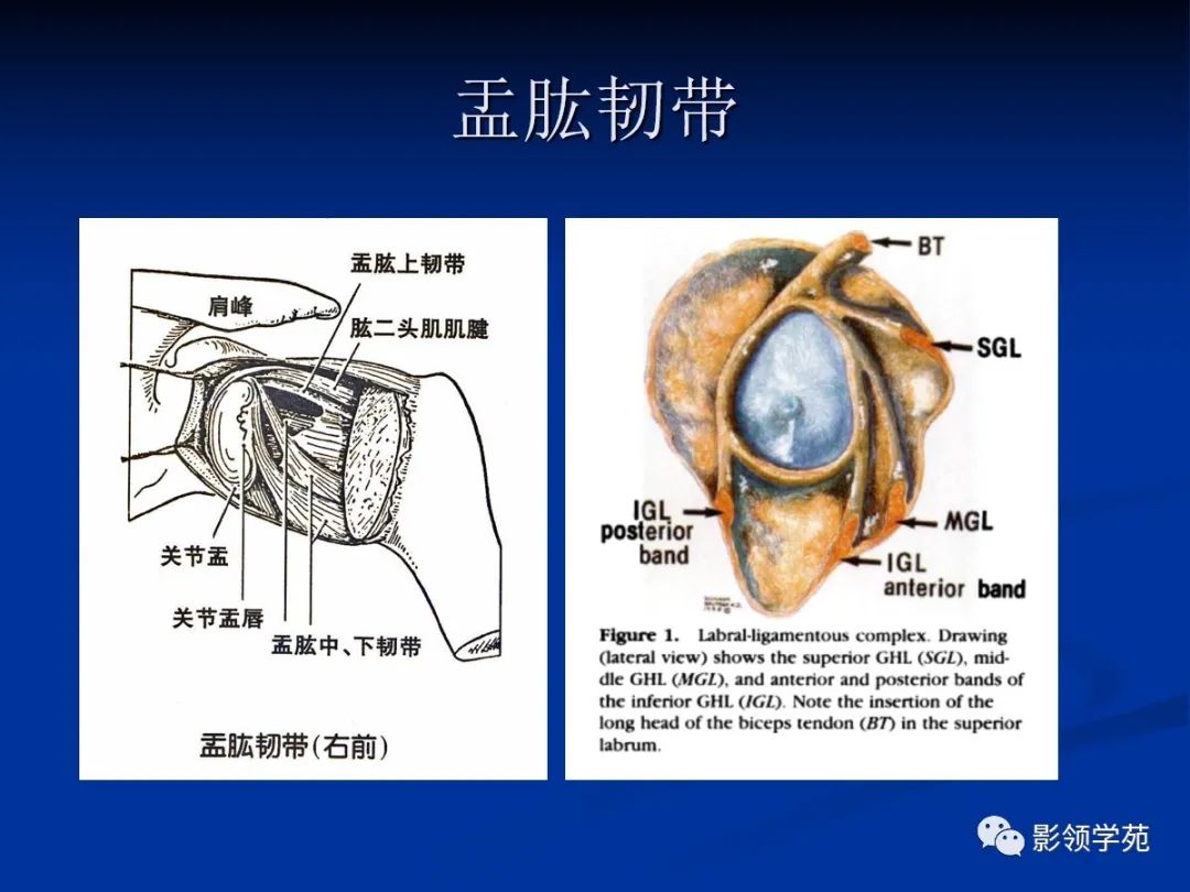 影像PPT - 【PPT】肩关节盂唇损伤的MRI诊断-17 影像PPT - 【PPT】肩关节盂唇损伤的MRI诊断-17