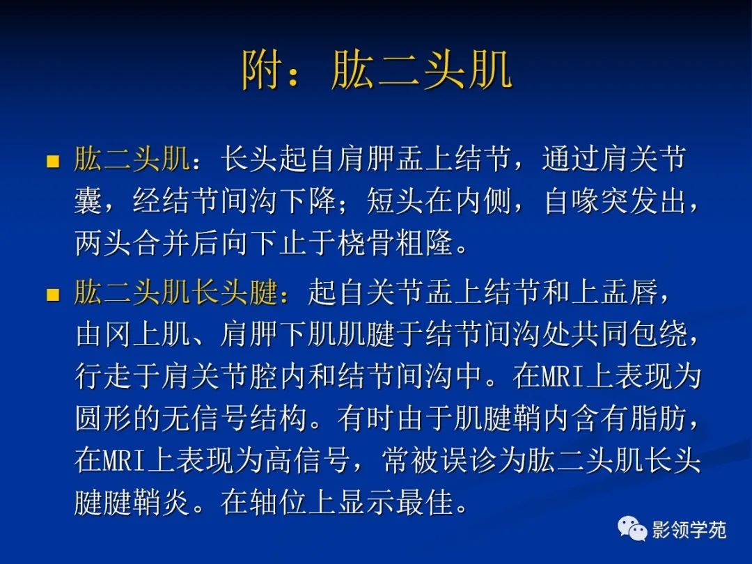 影像PPT - 【PPT】肩关节盂唇损伤的MRI诊断-56 影像PPT - 【PPT】肩关节盂唇损伤的MRI诊断-56