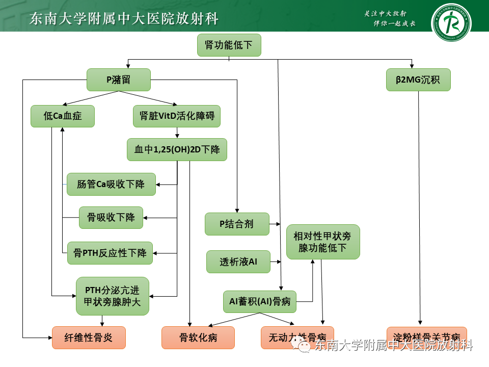 影像PPT - 【PPT】肾性骨营养不良-10 影像PPT - 【PPT】肾性骨营养不良-10