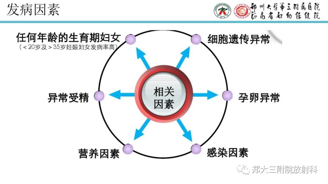 影像PPT - 【PPT】滋养细胞疾病的影像诊断-11