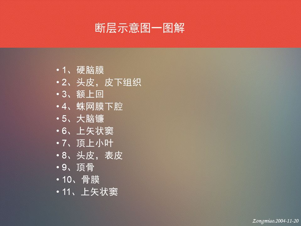 影像PPT - 脑功能区及解剖影像-4