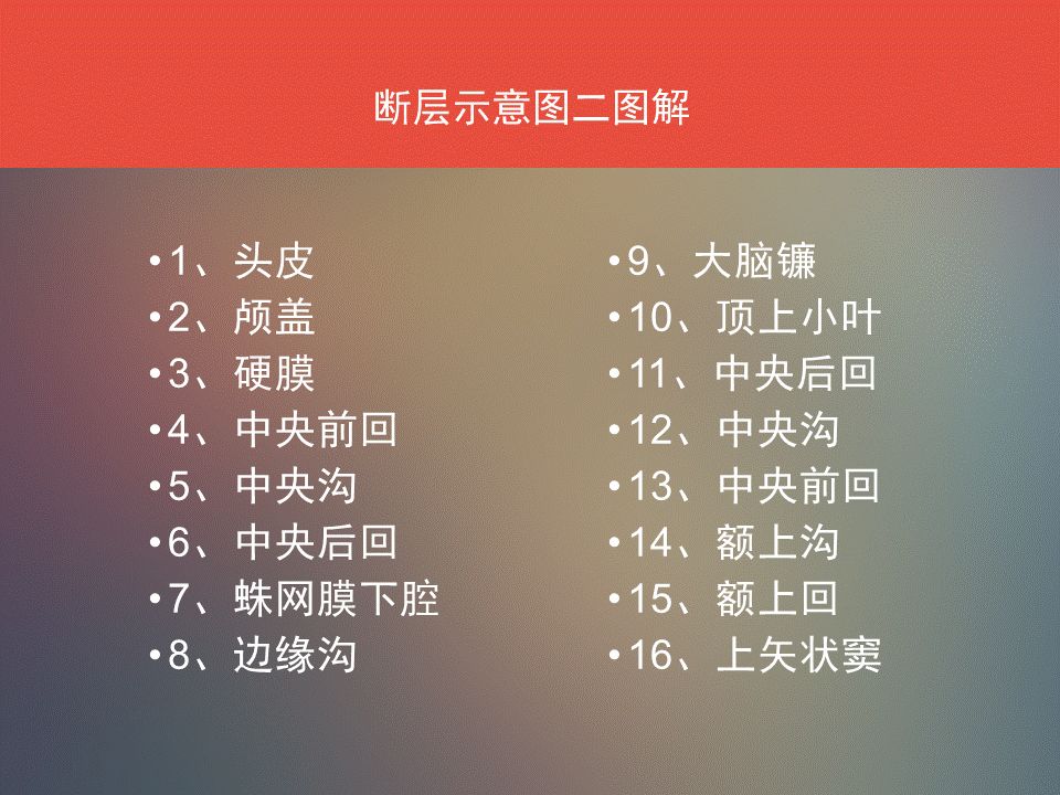 影像PPT - 脑功能区及解剖影像-6