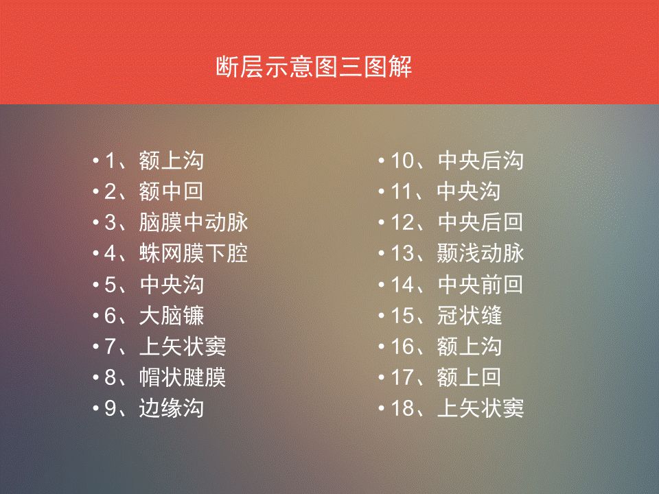 影像PPT - 脑功能区及解剖影像-9
