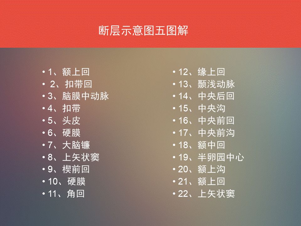 影像PPT - 脑功能区及解剖影像-14