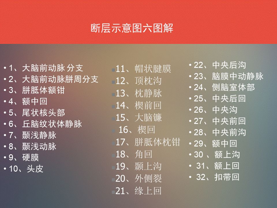 影像PPT - 脑功能区及解剖影像-17