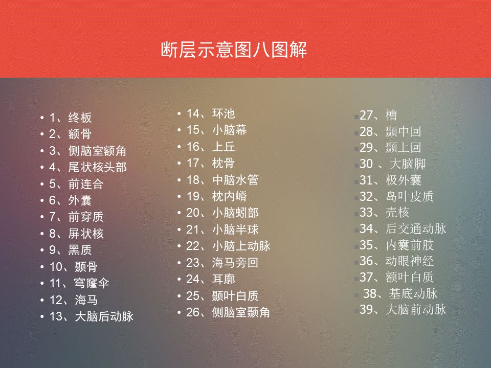 影像PPT - 脑功能区及解剖影像-23