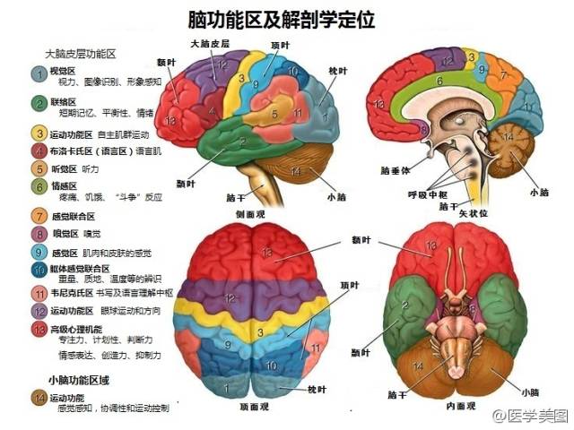 影像PPT - 脑功能区及解剖影像-24