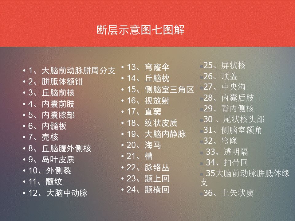 影像PPT - 脑功能区及解剖影像-20