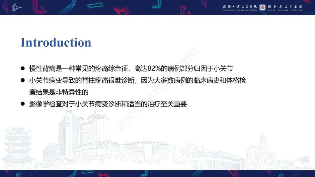 影像PPT - 【PPT】椎旁小关节病变影像诊断-2