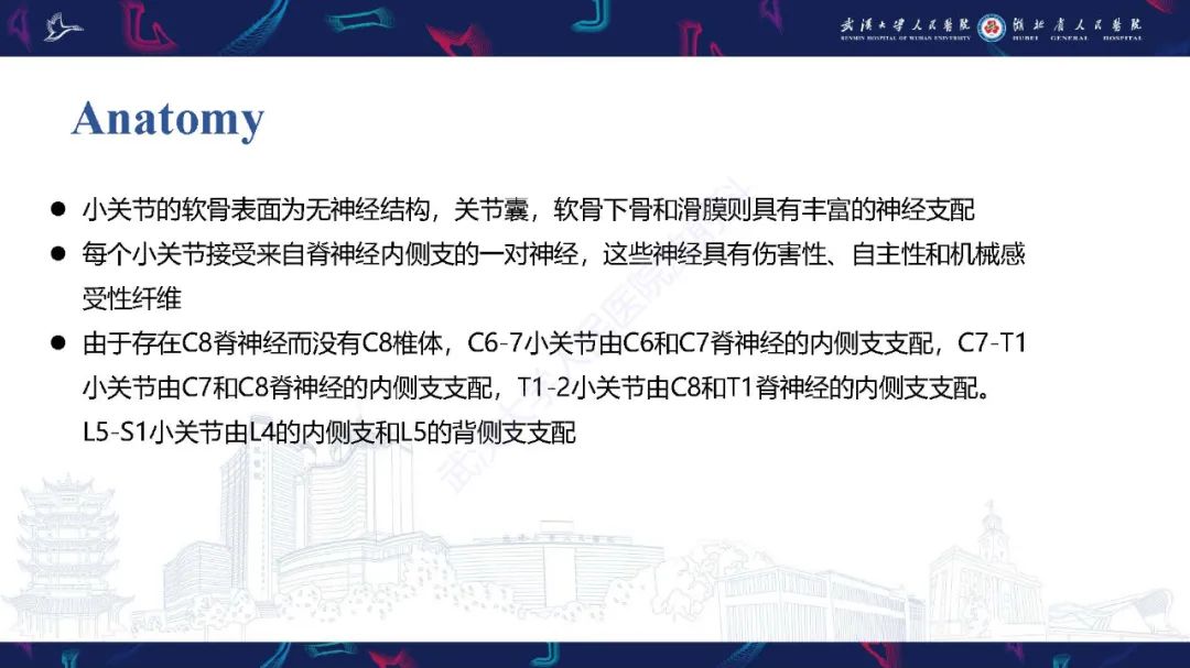 影像PPT - 【PPT】椎旁小关节病变影像诊断-4