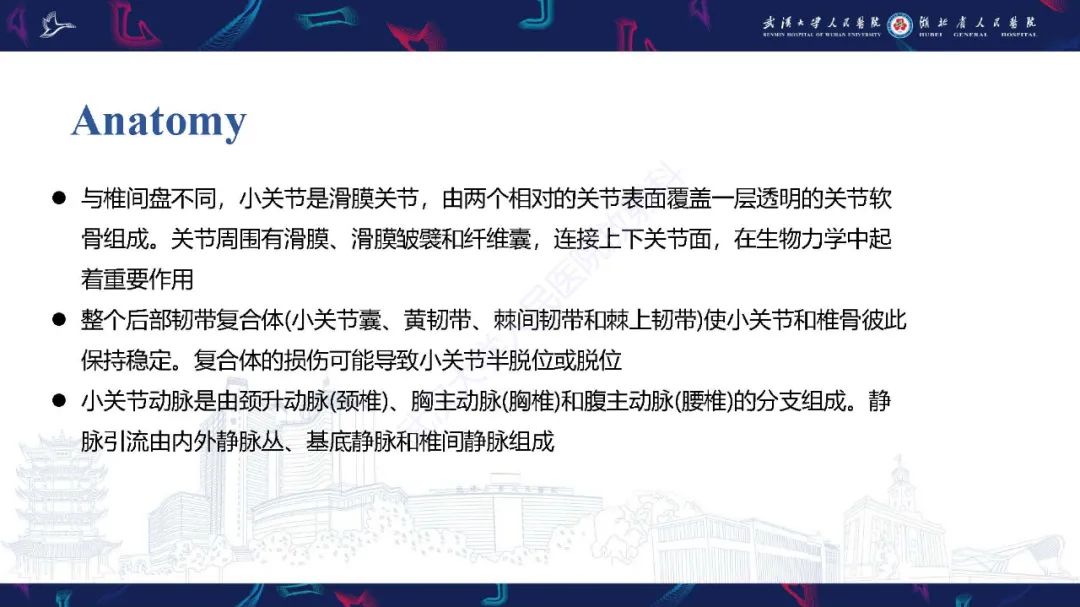 影像PPT - 【PPT】椎旁小关节病变影像诊断-3