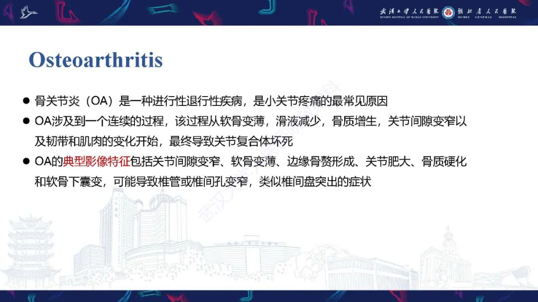 影像PPT - 【PPT】椎旁小关节病变影像诊断-9