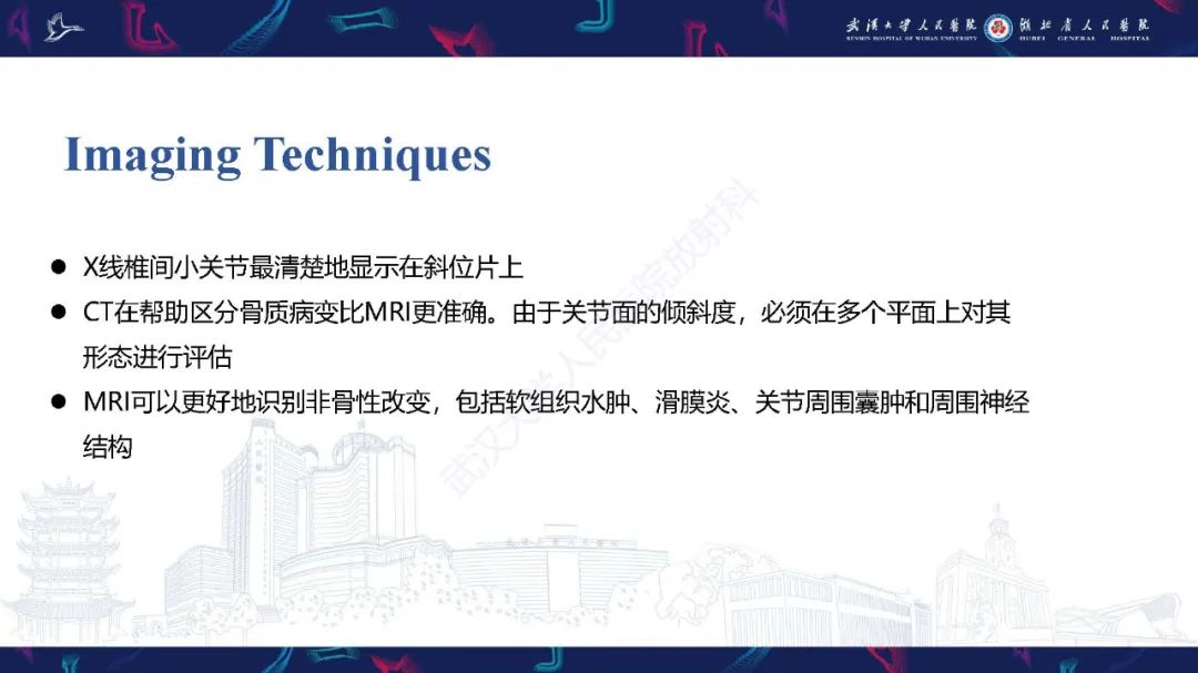 影像PPT - 【PPT】椎旁小关节病变影像诊断-8
