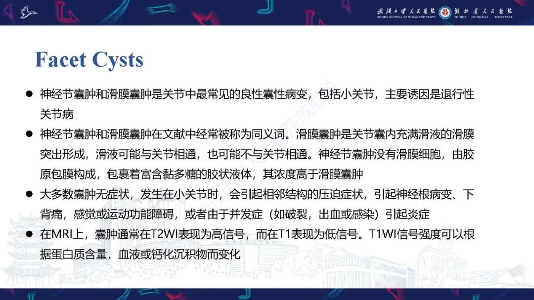 影像PPT - 【PPT】椎旁小关节病变影像诊断-12