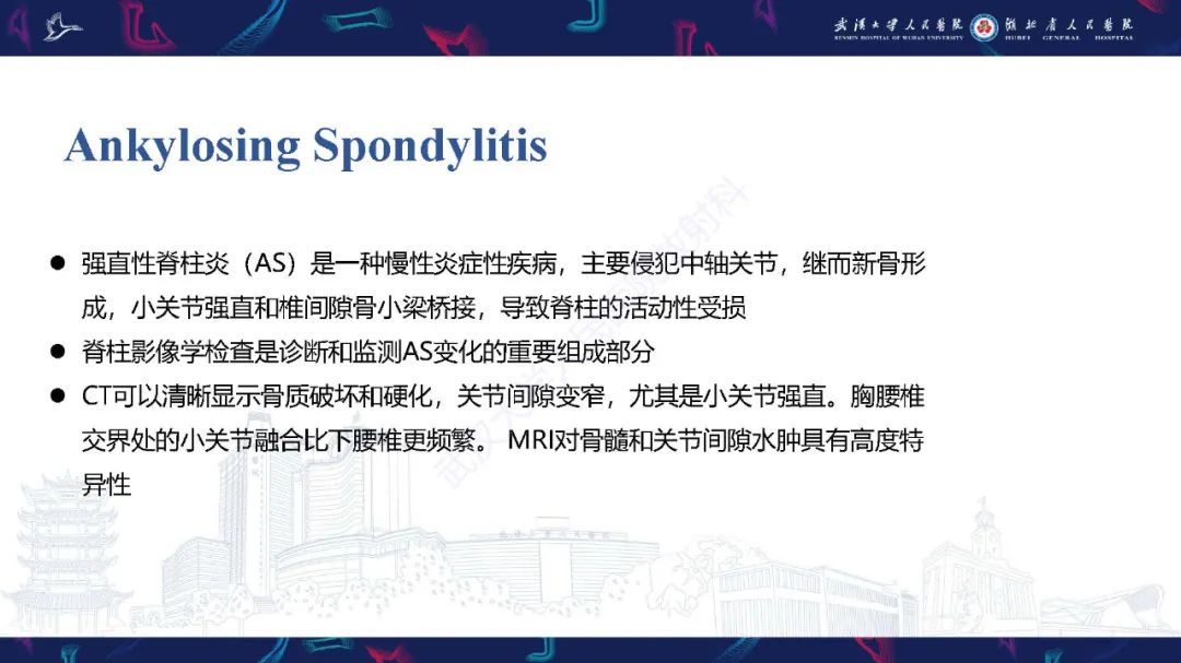 影像PPT - 【PPT】椎旁小关节病变影像诊断-14