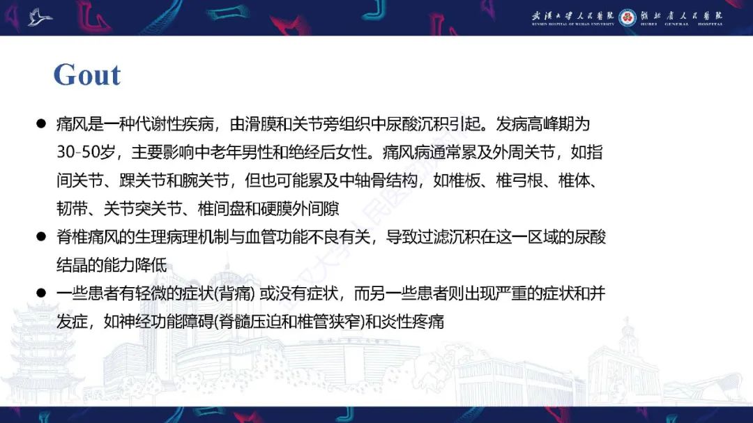 影像PPT - 【PPT】椎旁小关节病变影像诊断-17