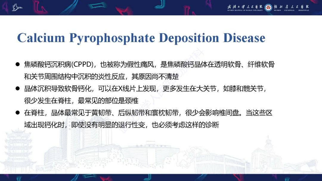 影像PPT - 【PPT】椎旁小关节病变影像诊断-20