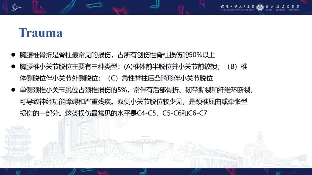 影像PPT - 【PPT】椎旁小关节病变影像诊断-23