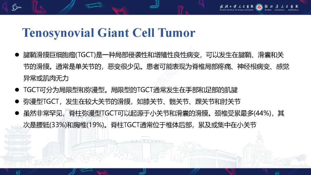 影像PPT - 【PPT】椎旁小关节病变影像诊断-39