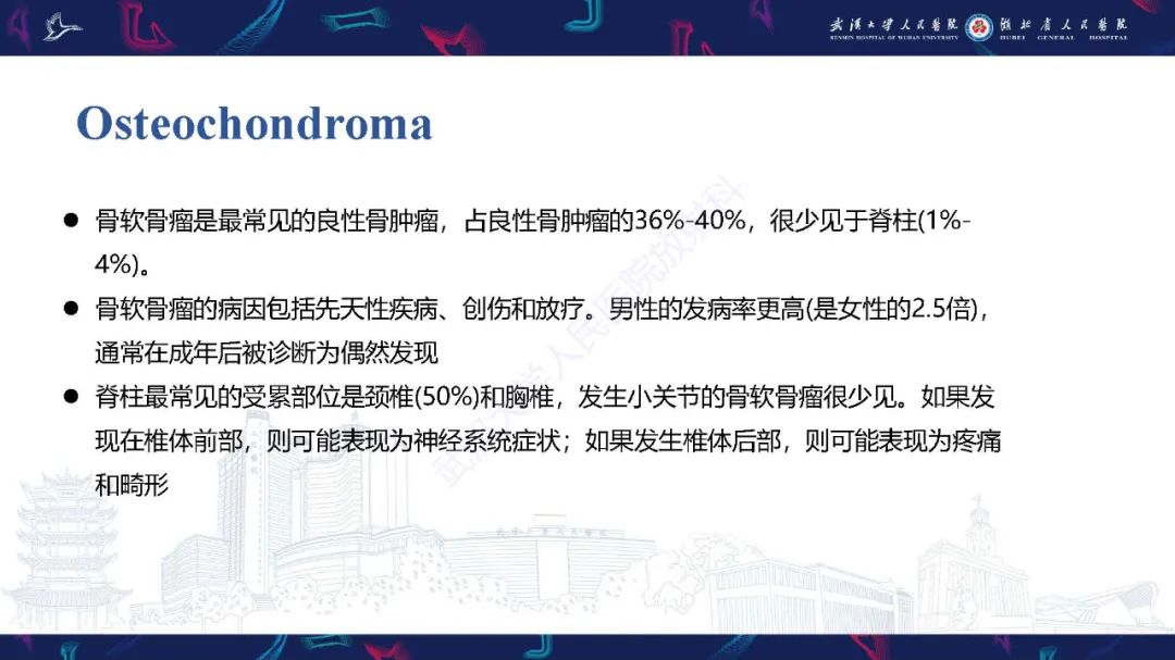 影像PPT - 【PPT】椎旁小关节病变影像诊断-42