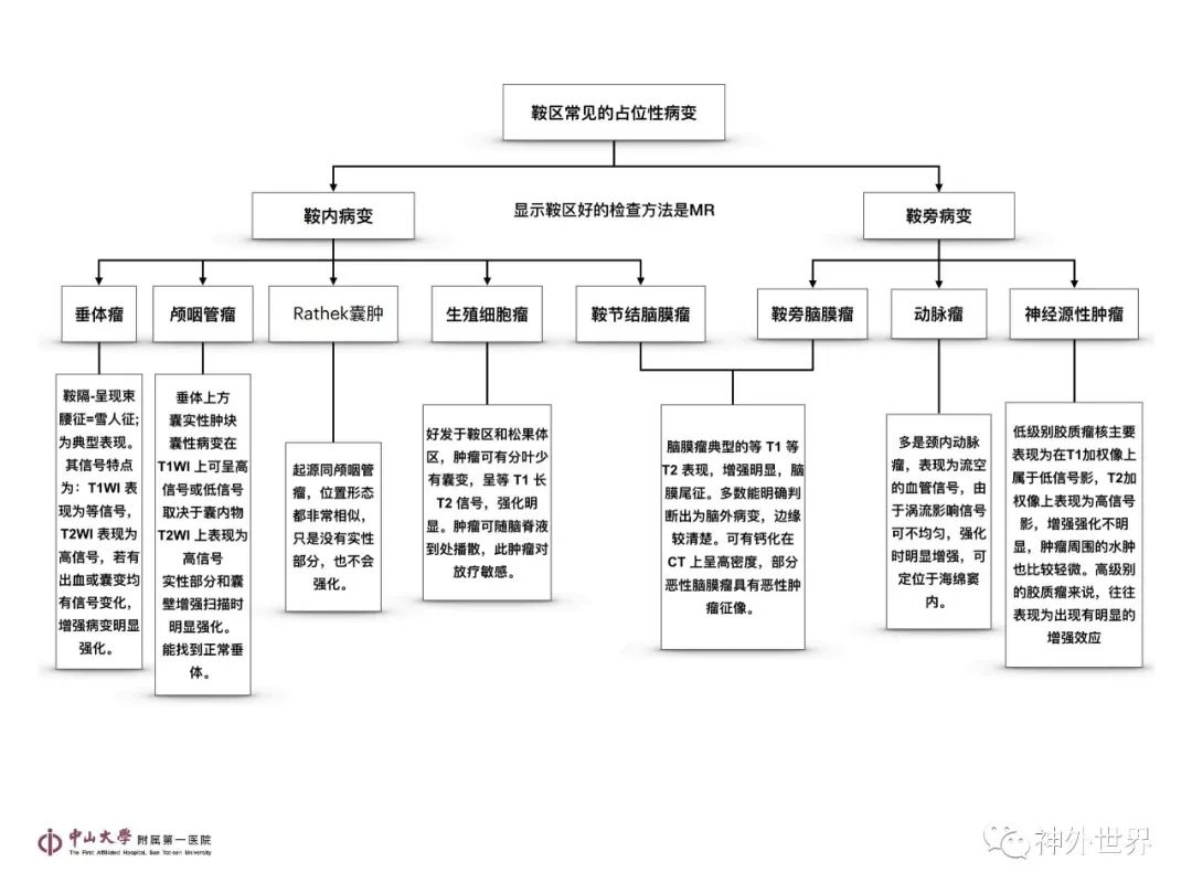 影像PPT - 【PPT】垂体瘤的多彩阅片-31