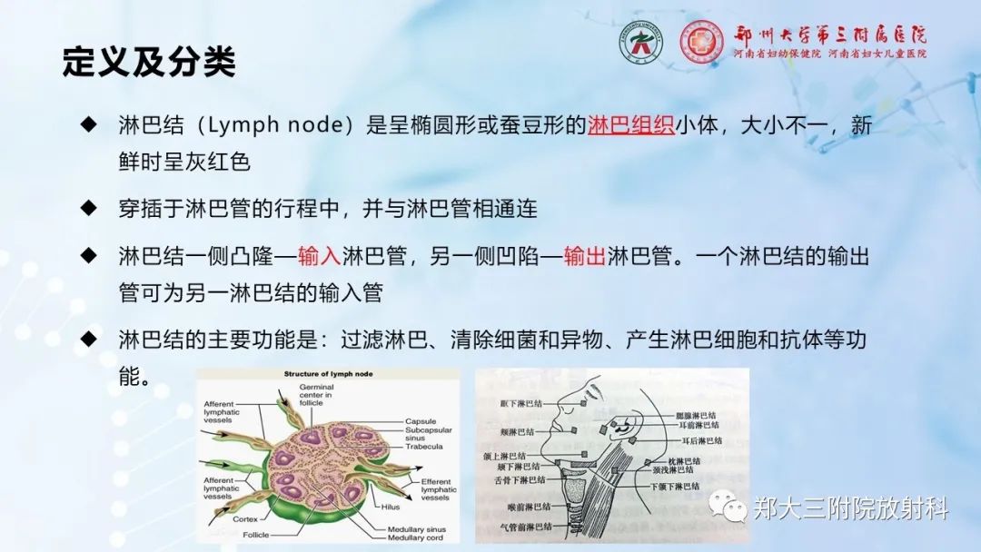 影像PPT - 【PPT】颈部淋巴结的分区及常见病变-3