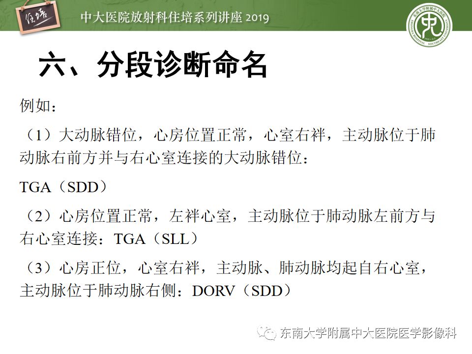 影像PPT - 【PPT】复杂先心病分段分析法简介-23