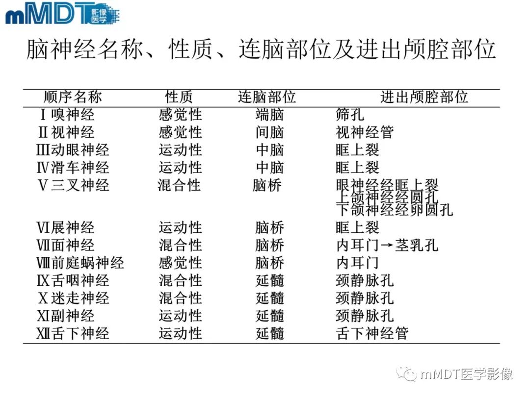 影像PPT - 【PPT】脑神经的影像辨识-5 影像PPT - 【PPT】脑神经的影像辨识-5