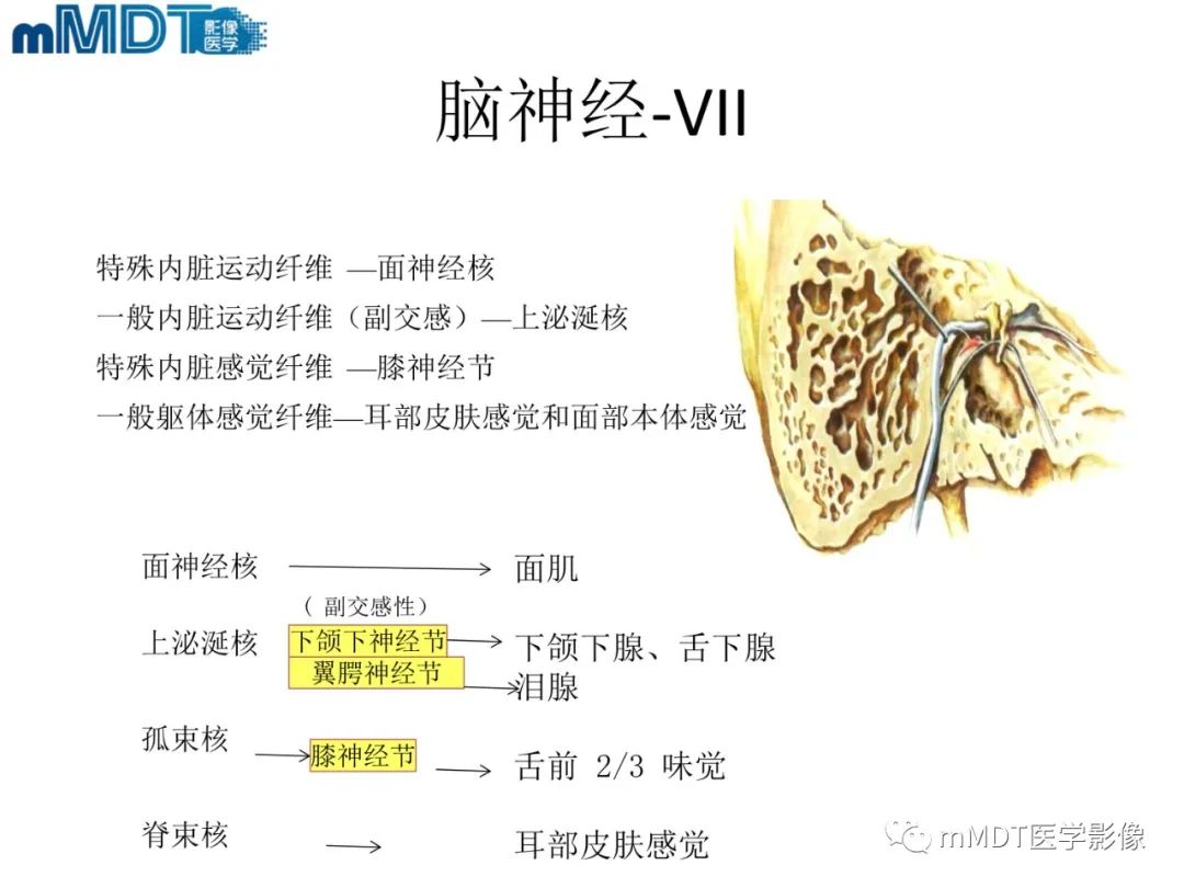 影像PPT - 【PPT】脑神经的影像辨识-9 影像PPT - 【PPT】脑神经的影像辨识-9