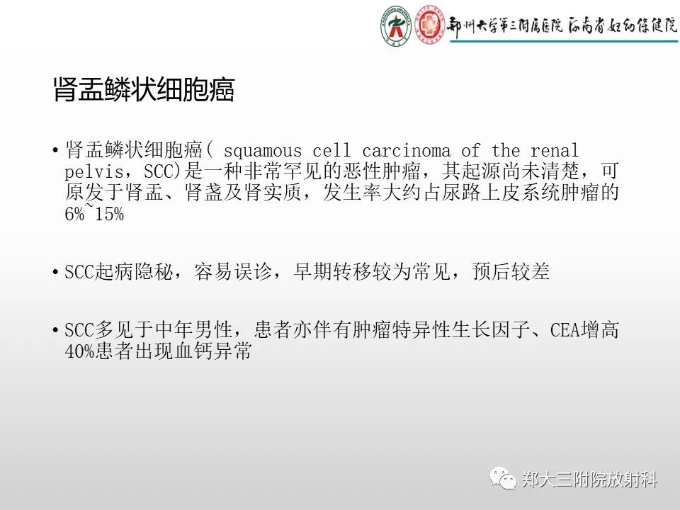 影像PPT - 【PPT】急性肾炎肾炎的影像解读-28