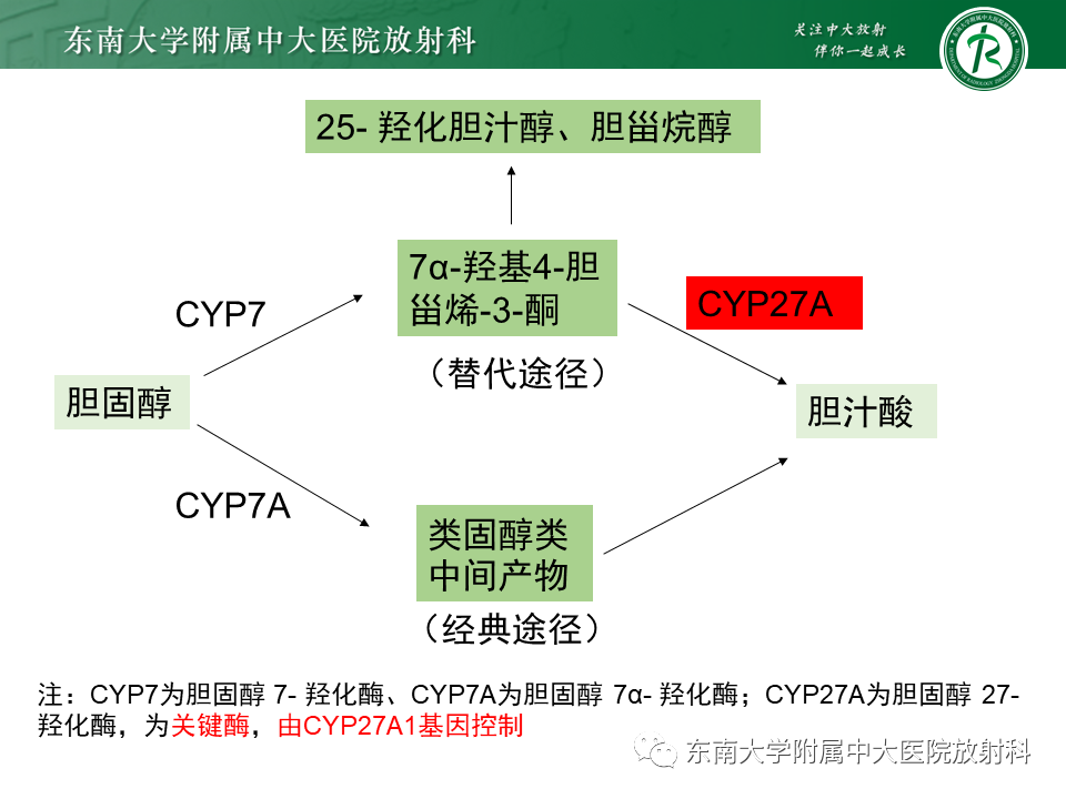 影像PPT - 【PPT】脑腱黄瘤病-9 影像PPT - 【PPT】脑腱黄瘤病-9