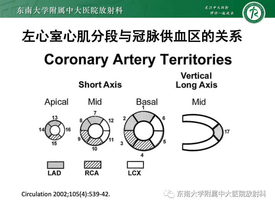 影像PPT - 【PPT】CMR在心肌梗死中的运用-28 影像PPT - 【PPT】CMR在心肌梗死中的运用-28