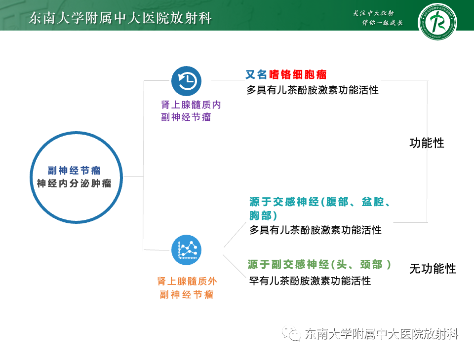 影像PPT - 【PPT】副神经节瘤的影像-8