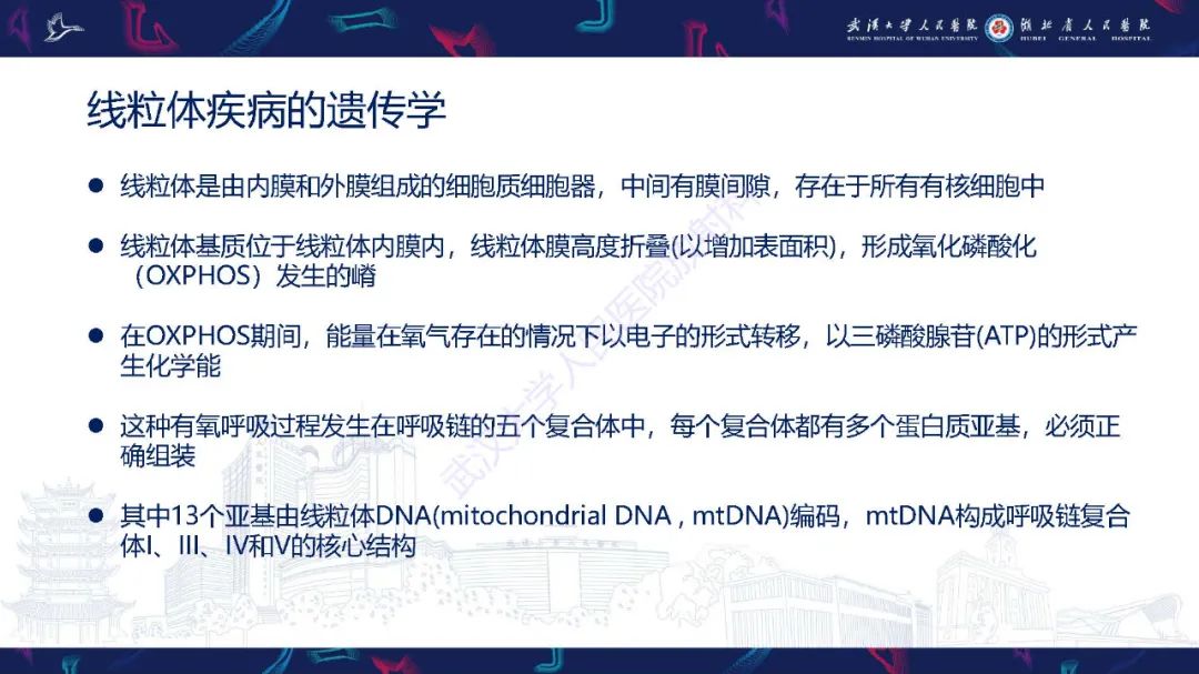 影像PPT - 【PPT】儿童中枢神经系统原发性线粒体疾病影像诊断-3