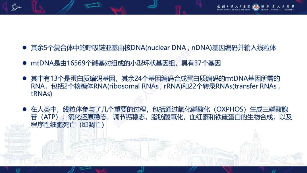 影像PPT - 【PPT】儿童中枢神经系统原发性线粒体疾病影像诊断-4