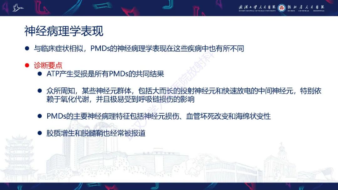 影像PPT - 【PPT】儿童中枢神经系统原发性线粒体疾病影像诊断-10