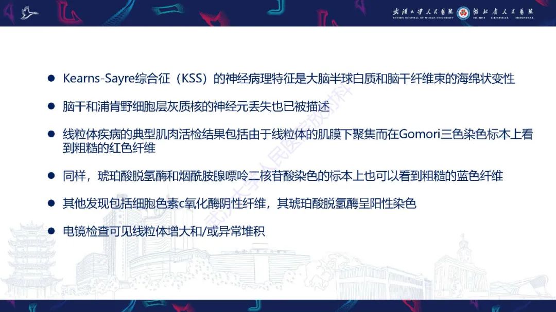 影像PPT - 【PPT】儿童中枢神经系统原发性线粒体疾病影像诊断-17