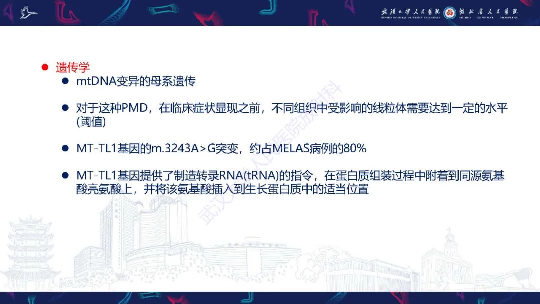 影像PPT - 【PPT】儿童中枢神经系统原发性线粒体疾病影像诊断-36