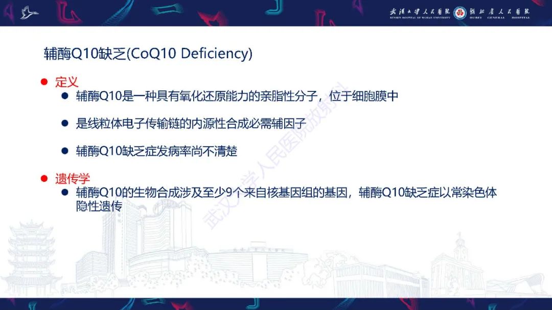影像PPT - 【PPT】儿童中枢神经系统原发性线粒体疾病影像诊断-54