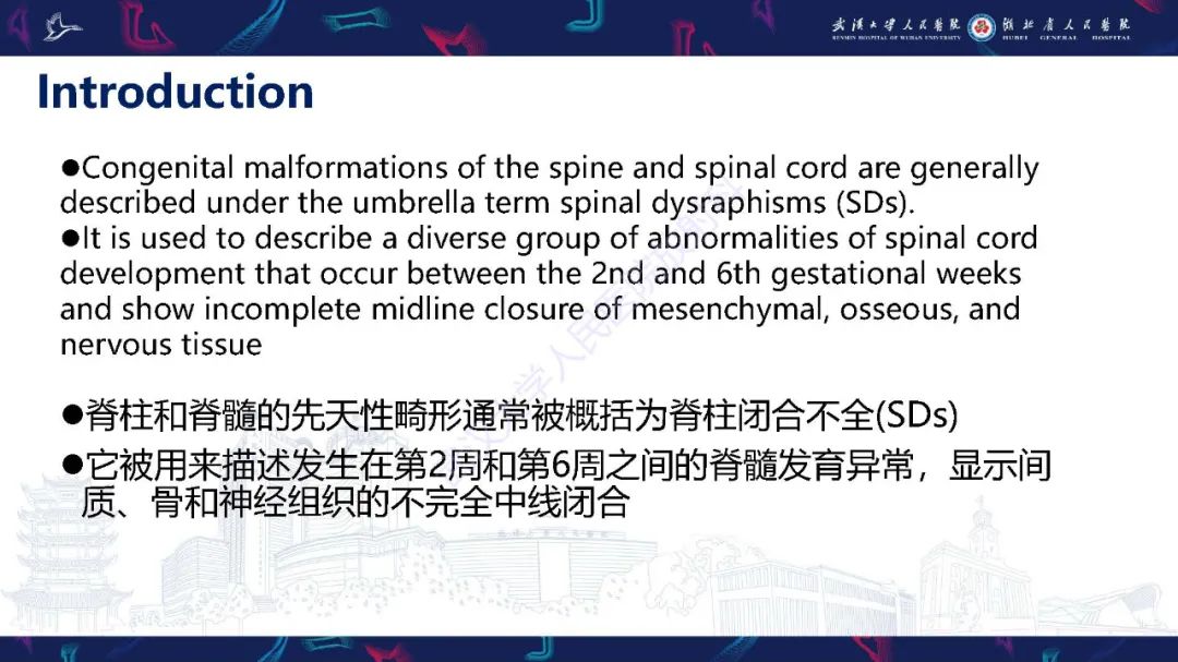 影像PPT - 【PPT】脊柱闭合不全影像诊断-2