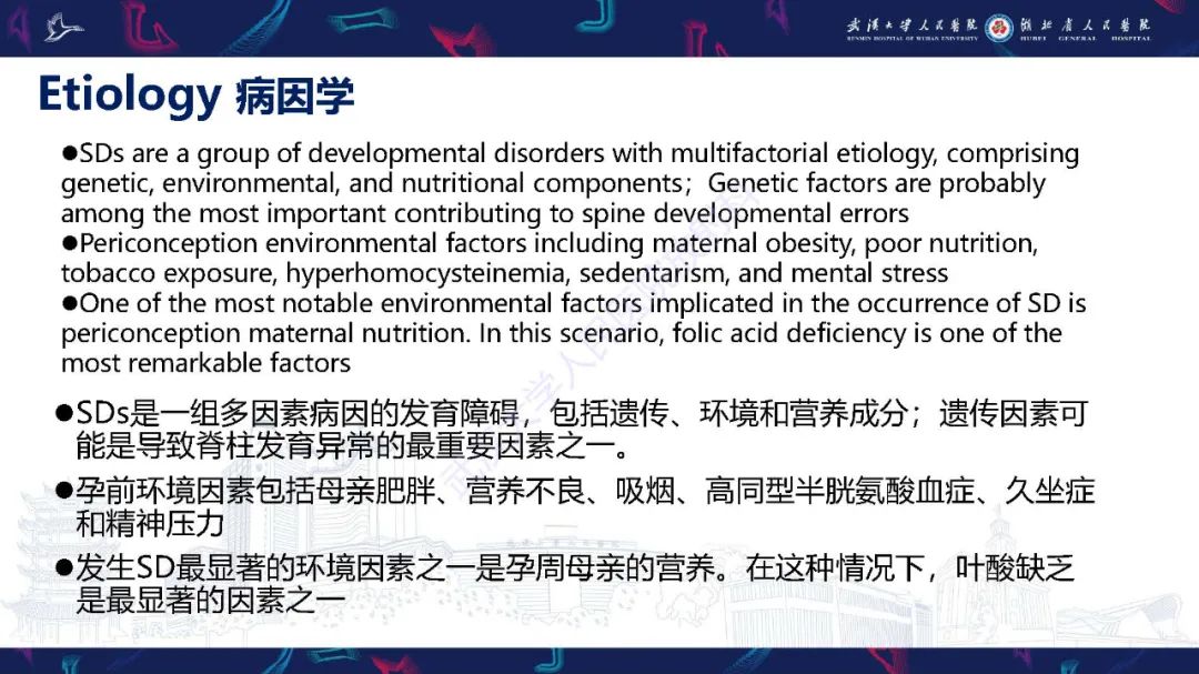 影像PPT - 【PPT】脊柱闭合不全影像诊断-4
