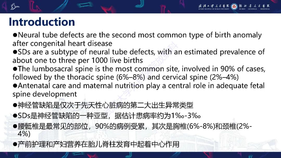 影像PPT - 【PPT】脊柱闭合不全影像诊断-3