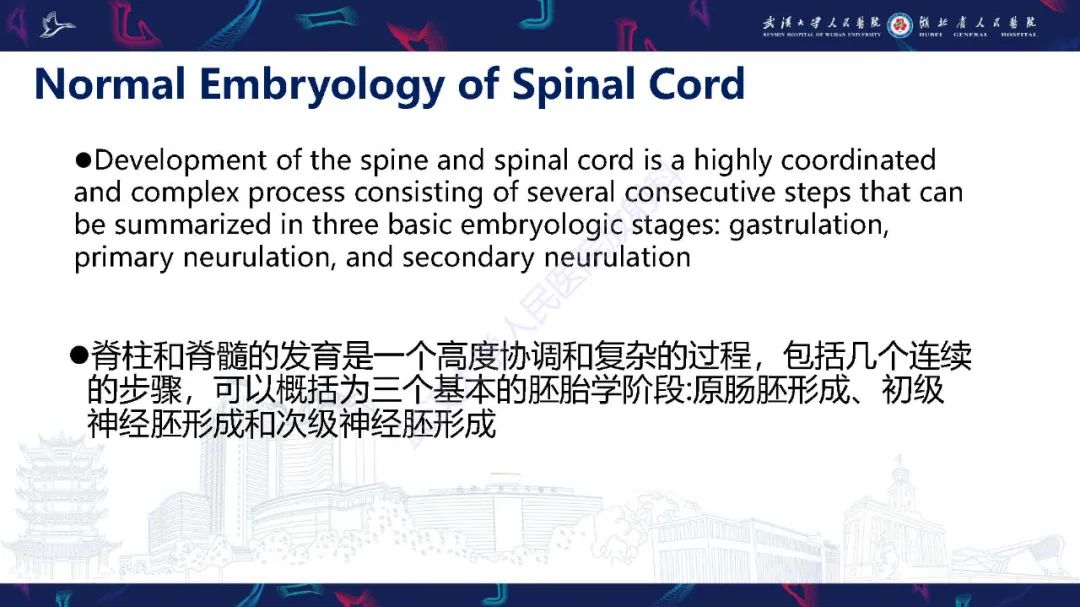 影像PPT - 【PPT】脊柱闭合不全影像诊断-5